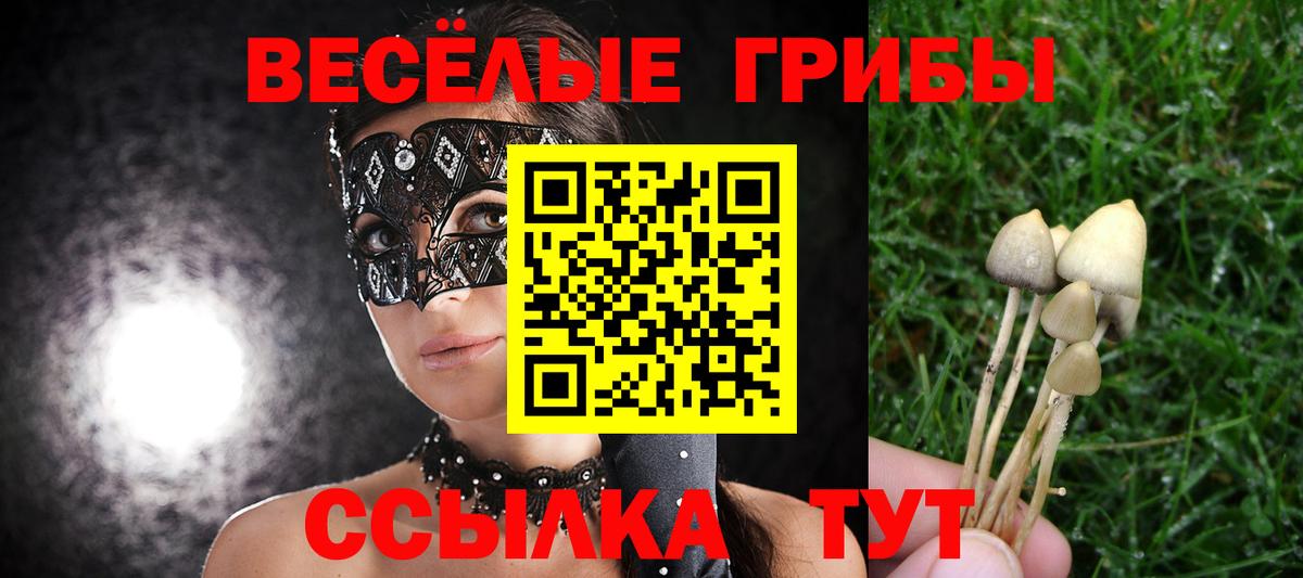 Ногинск  Псилоцибиновые грибы Psilocybine cubensis  Вход с VPN 